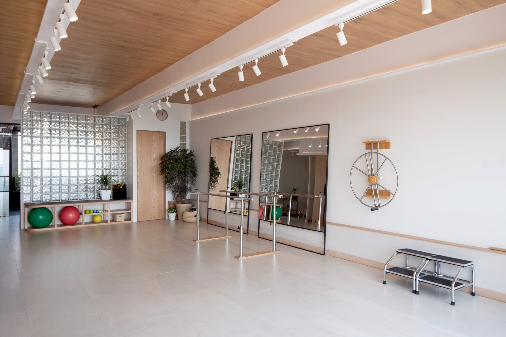 Fisioterapia y rehabilitación